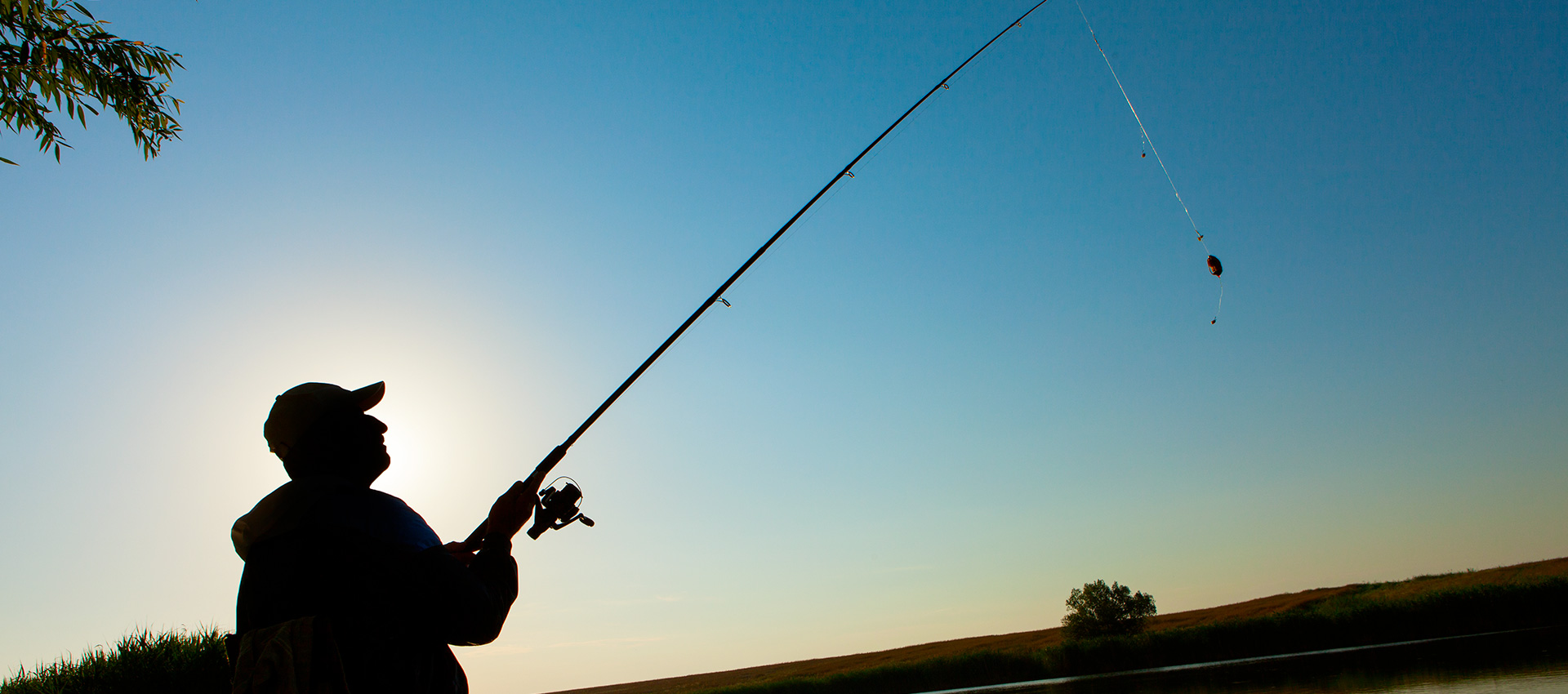 esche vive per la pesca